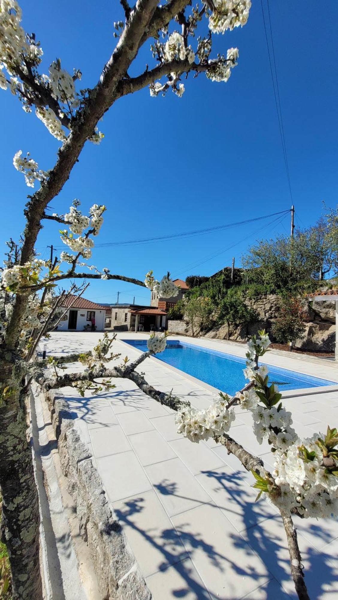 Casa Dos Strecht'S Guest House Castelo de Paiva Exterior photo